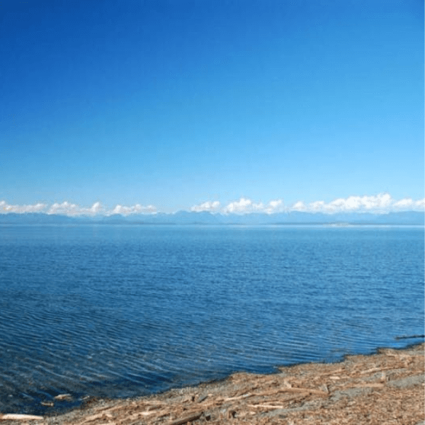 Empowered Goddess Retreat - Registration
